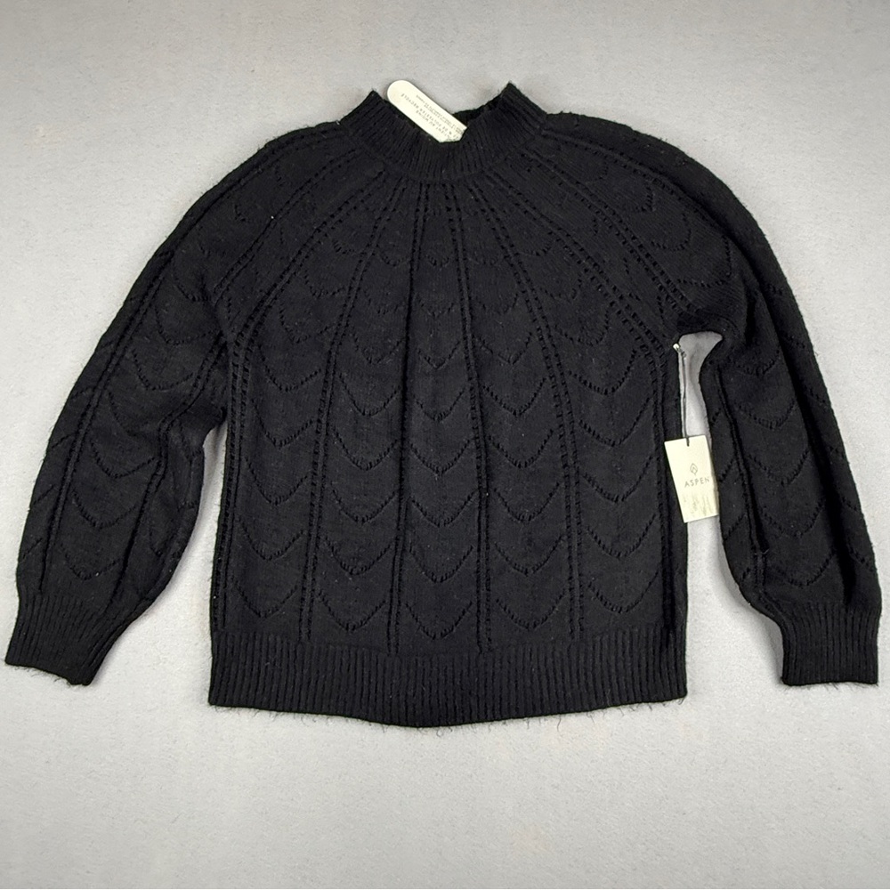 NWT Aspen Womens L Black Cable Knit Mock Neck Sweater Textured Cozy Pullover